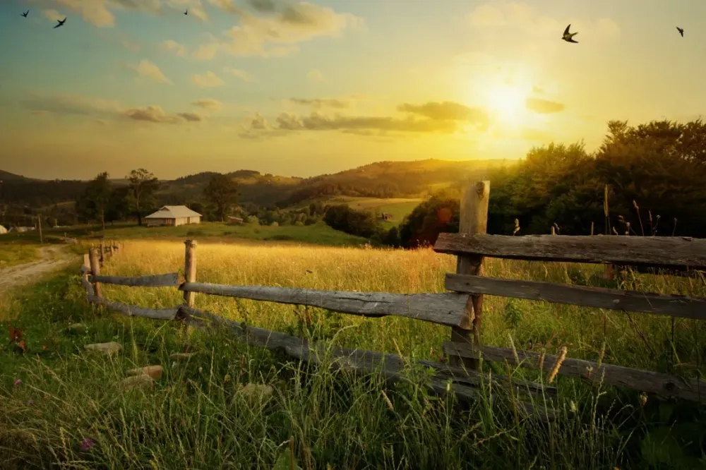 Ferme avec couché de soleilwebp